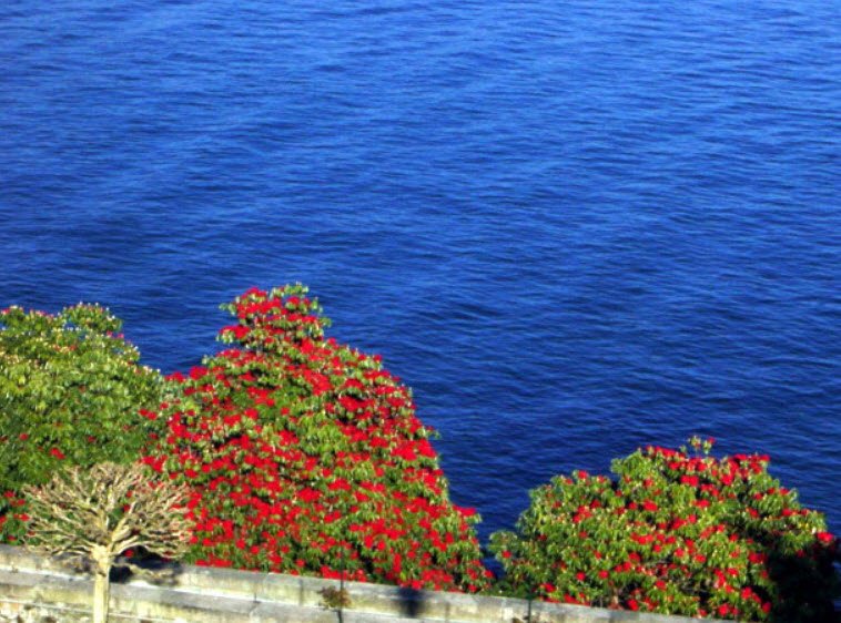 Giardino Botanico, Italy